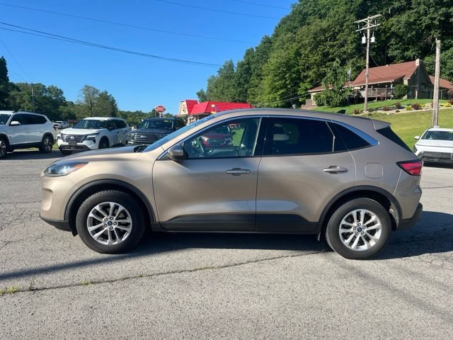 Used 2020 Ford Escape SE AWD/4WD image 9