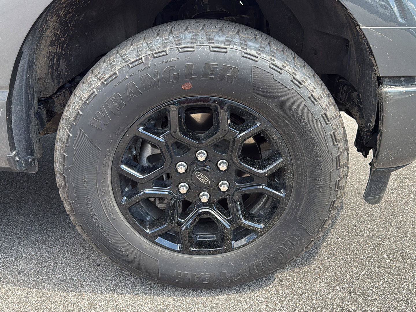 Used 2025 Ford F150 XLT w/ Equipment Group 301A Standard AWD/4WD image 14