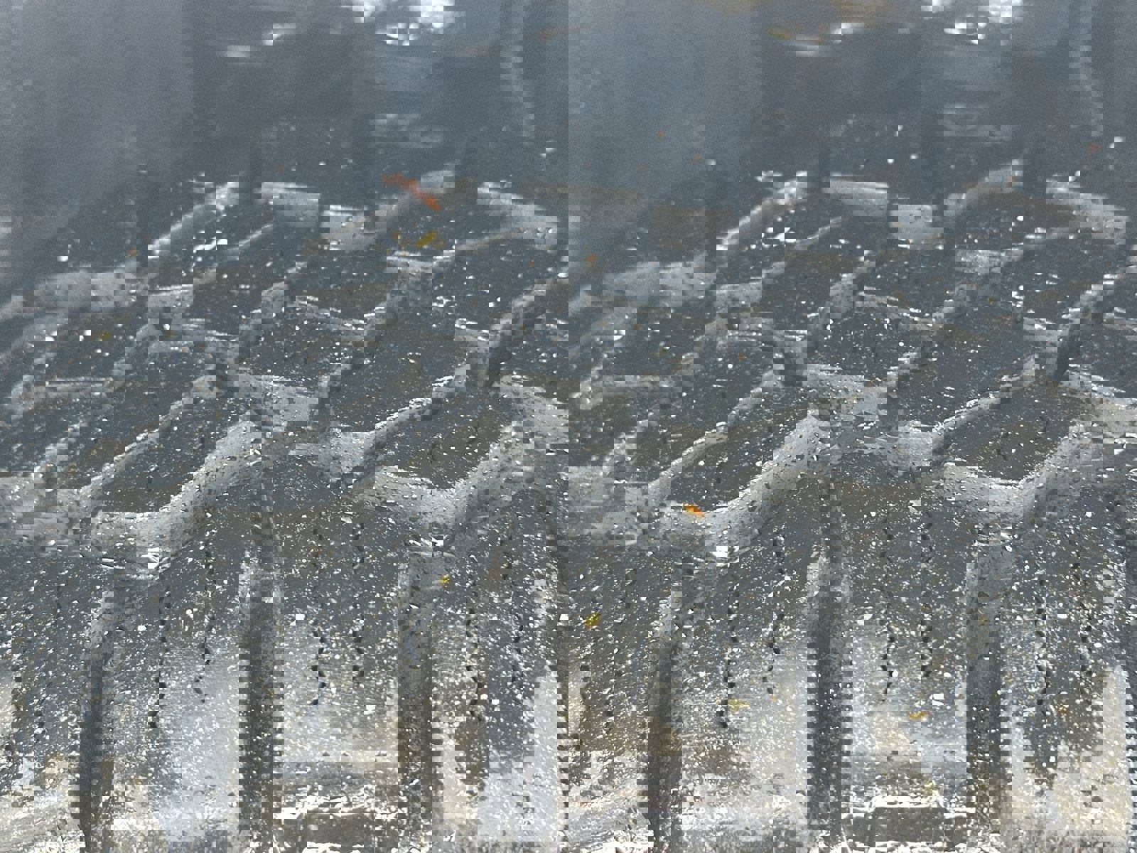 Used 2023 Toyota Tacoma SR5 image 12