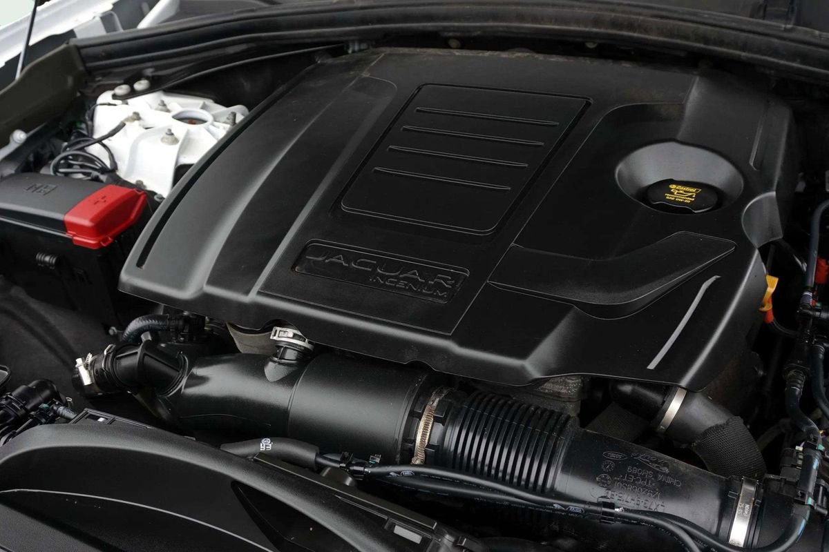 Used 2025 Jaguar F-PACE R-Dynamic S image 12