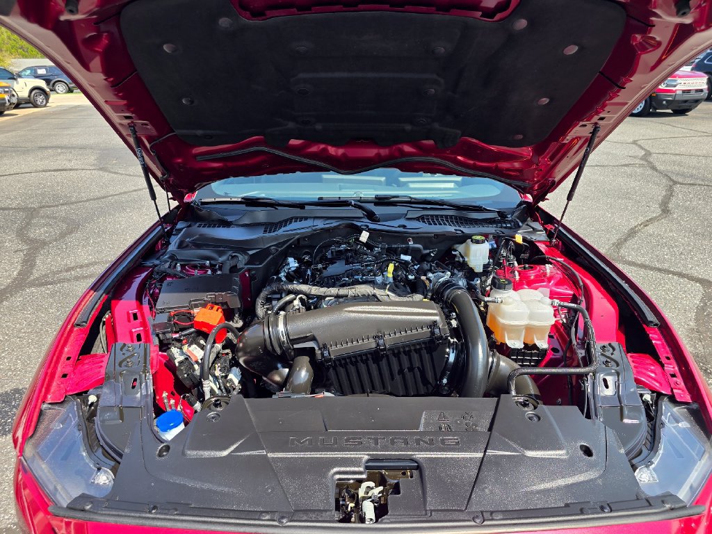 Used 2025 Ford Mustang Coupe RWD image 27