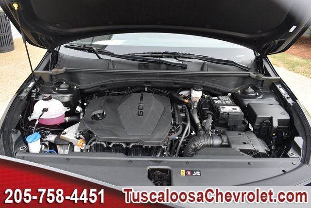 Used 2024 Kia Sportage EX FWD image 41
