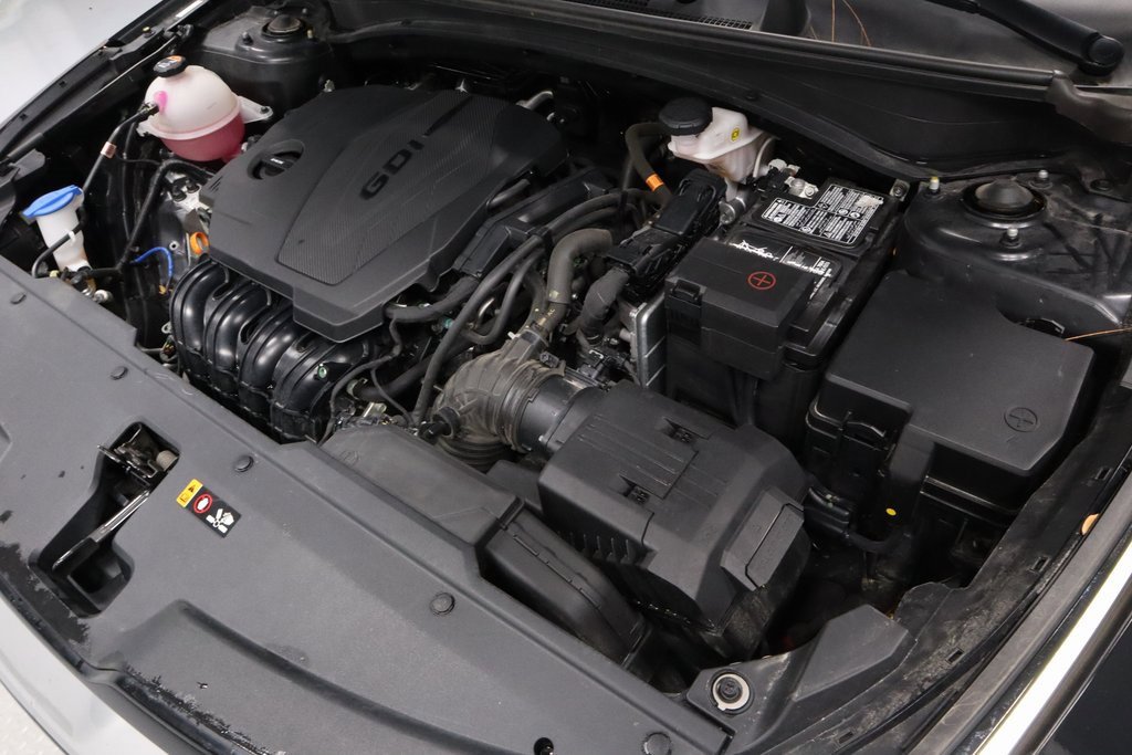 Used 2023 Kia Sportage EX image 12