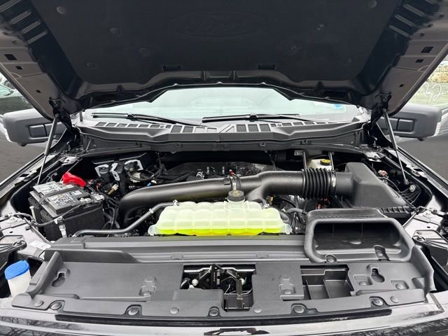 New 2026 Ford F150 XLT w/ Equipment Group 302A MID image 23