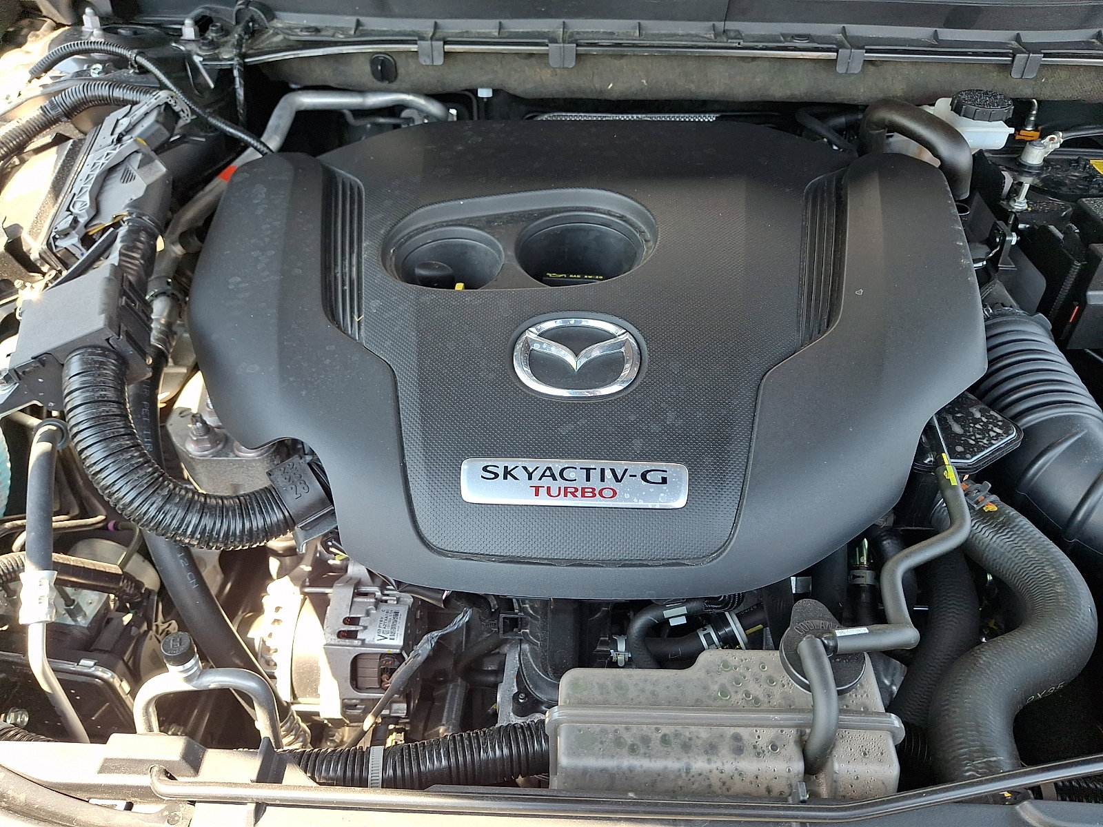 Certified 2025 MAZDA CX-5 Signature AWD/4WD image 29
