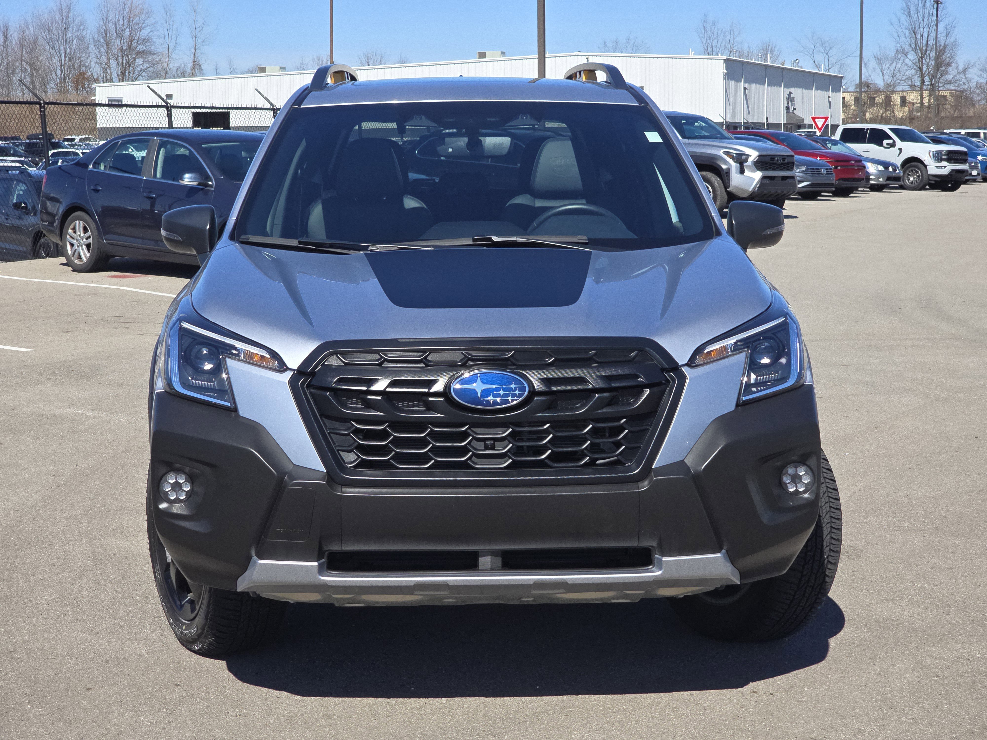 Certified 2025 Subaru Forester Wilderness w/ Wilderness Package image 2