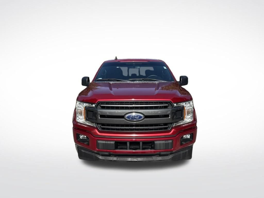 Used 2019 Ford F150 XLT w/ Equipment Group 302A Luxury RWD image 3