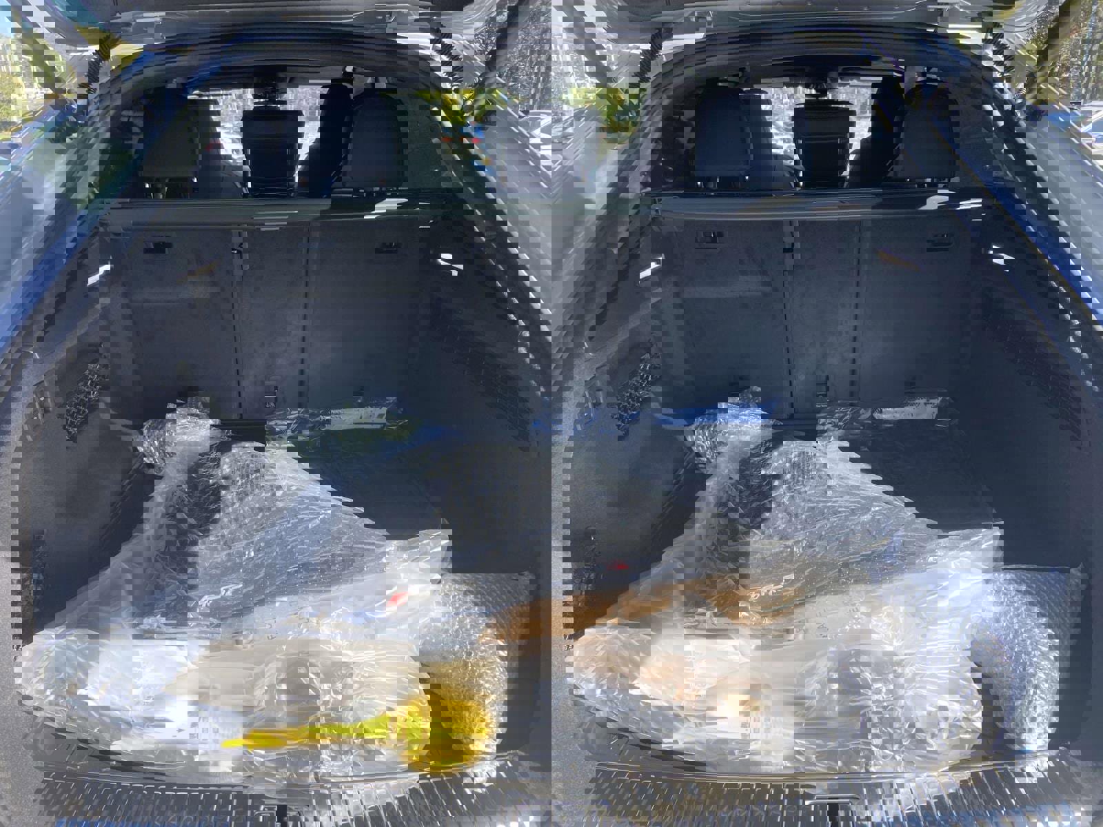 New 2026 Audi RS Q8 performance image 12