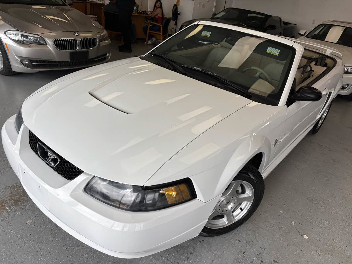 Used 2003 Ford Mustang Convertible RWD image 12