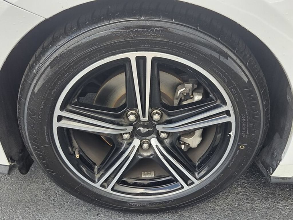Used 2024 Ford Mustang Premium RWD image 13