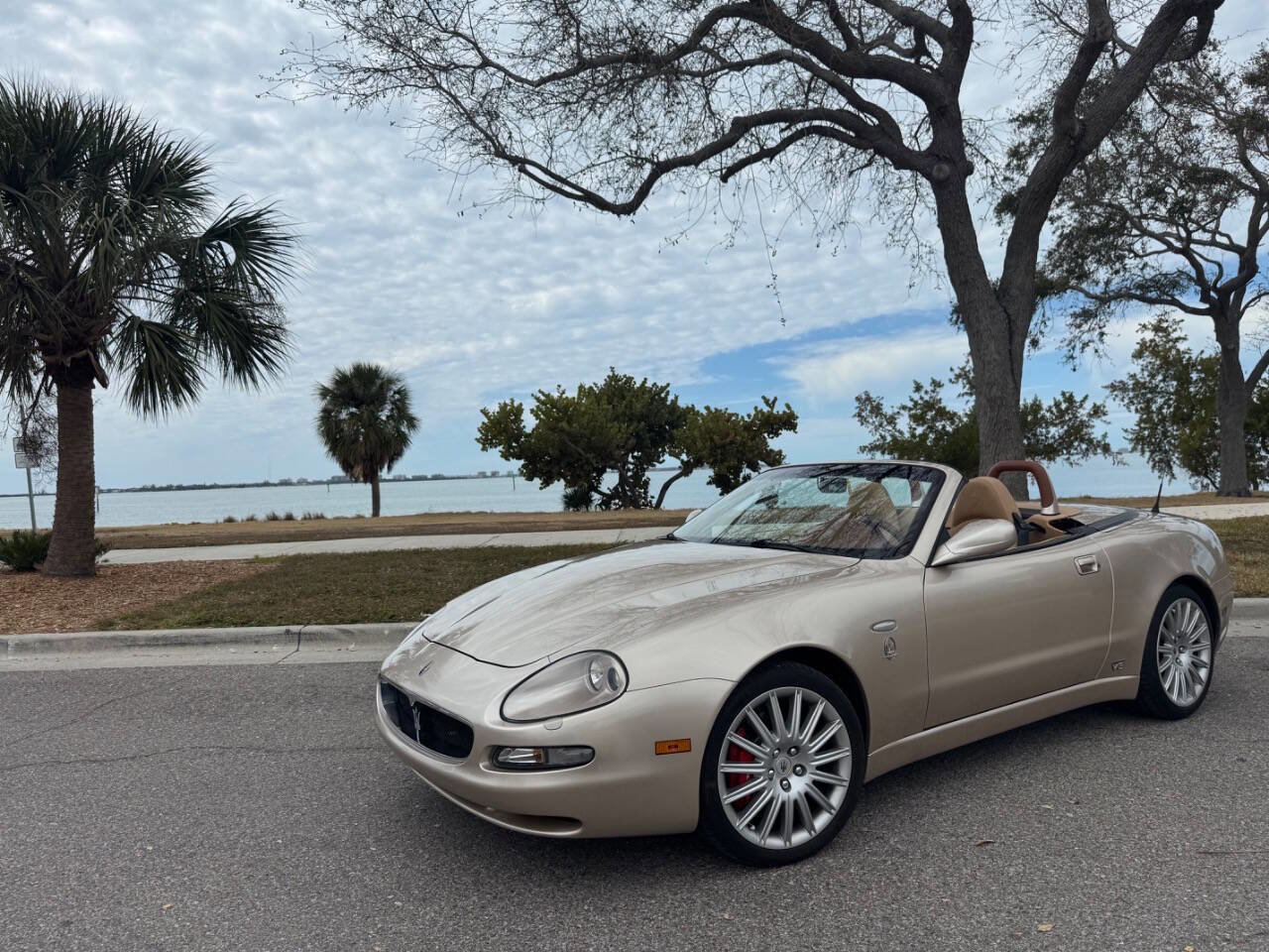 Used 2002 Maserati Spyder Cambiocorsa image 37