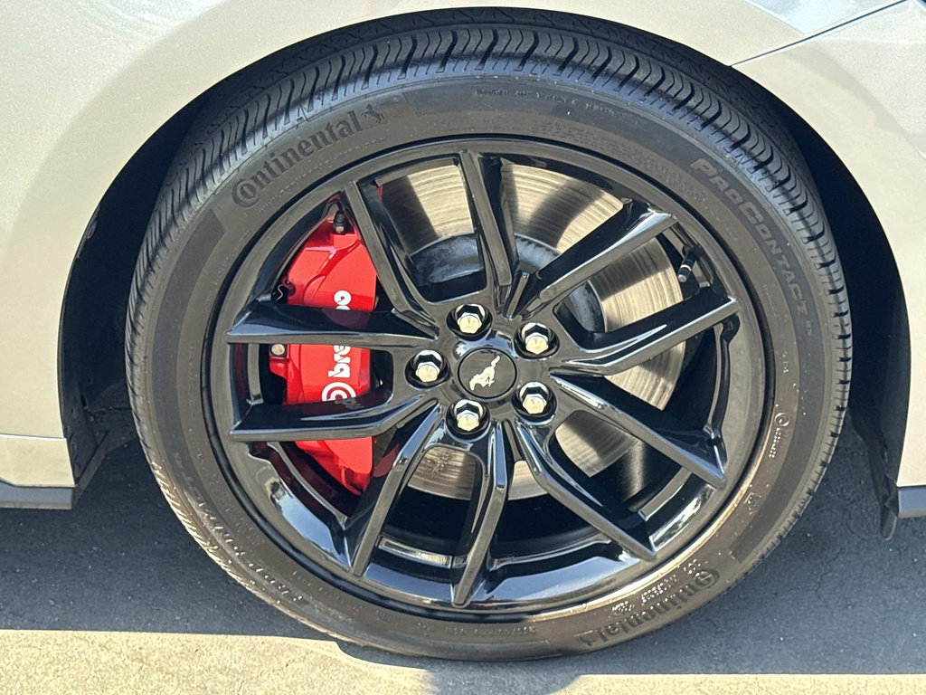 Used 2025 Ford Mustang GT Premium RWD image 39