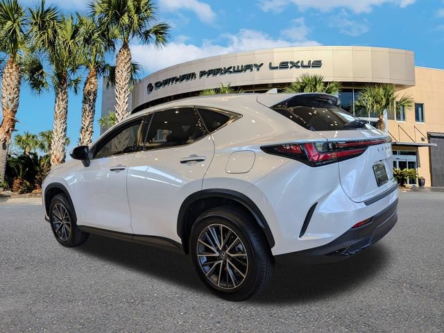 Certified 2024 Lexus NX 350h AWD w/ Cold Area Package image 5