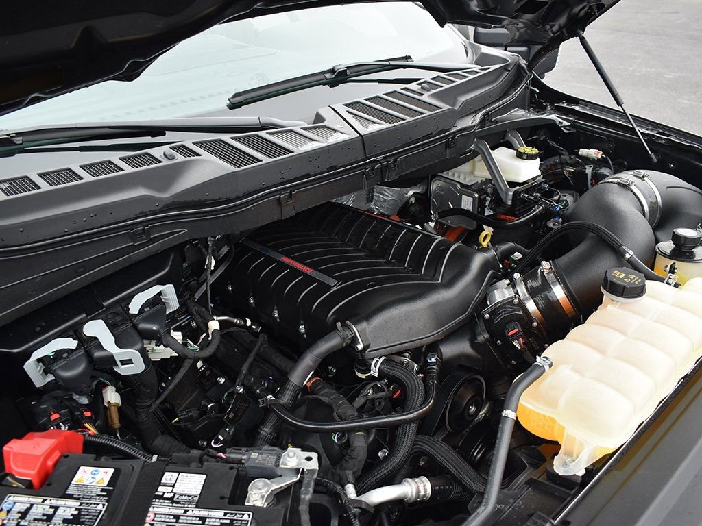 New 2025 Ford F150 XLT w/ Equipment Group 302A MID image 28