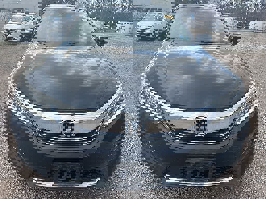 Used 2016 Honda Accord Touring image 2