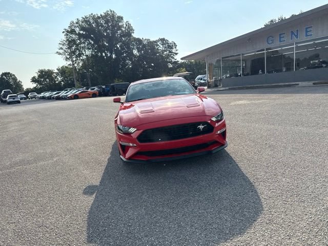 Used 2019 Ford Mustang GT Premium w/ California Special Package RWD image 8