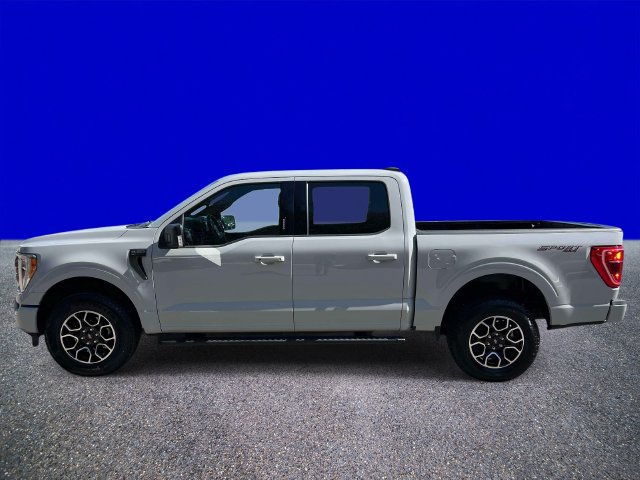 Used 2023 Ford F150 XLT w/ Equipment Group 302A High AWD/4WD image 6