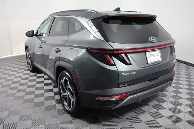 Certified 2024 Hyundai Tucson Limited image 6