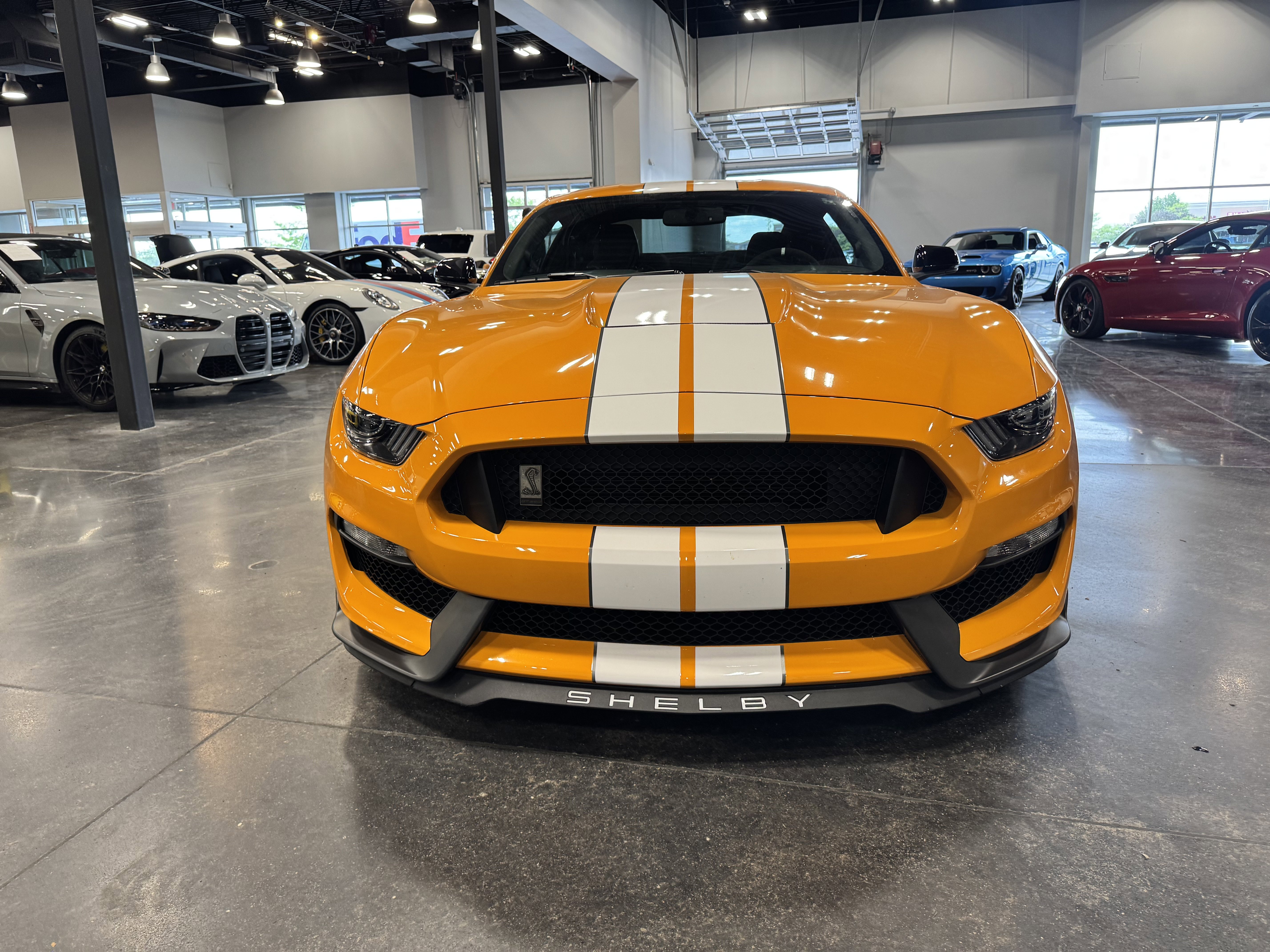 Used 2019 Ford Mustang Shelby GT350 w/ Technology Package RWD image 8