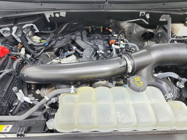 Used 2024 Ford Expedition Limited image 12