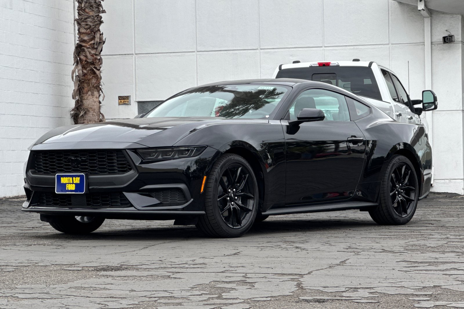 New 2026 Ford Mustang Premium w/ Mustang Nite Pony Package RWD image 8