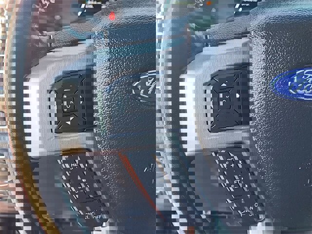 Used 2019 Ford F150 Platinum w/ Equipment Group 701A Luxury image 12