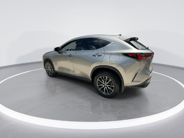 Certified 2025 Lexus NX 250 FWD w/ Accessory Package (Z2) image 6