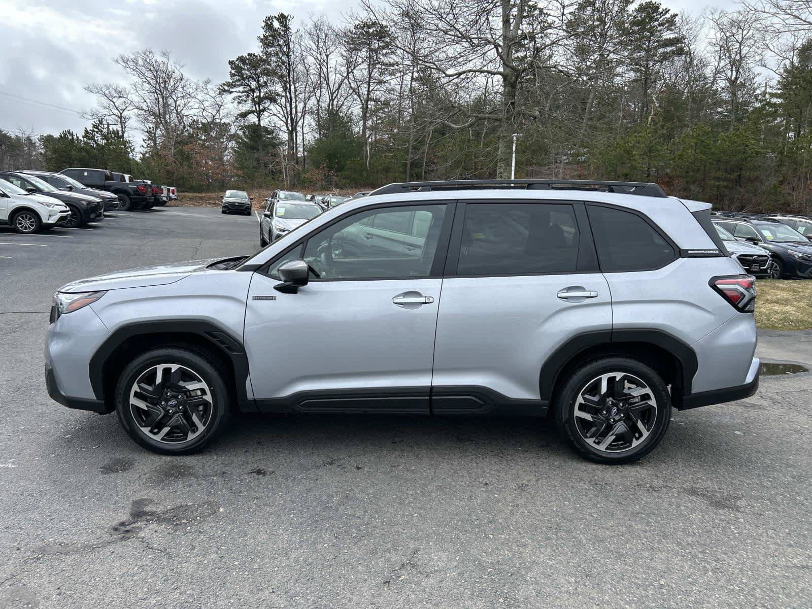 Used 2025 Subaru Forester Premium AWD/4WD image 6
