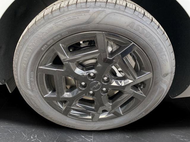 New 2026 Kia Carnival SX w/ SX Dark Edition Package image 35