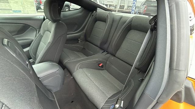 New 2026 Ford Mustang Coupe w/ Mustang Nite Pony Package image 15