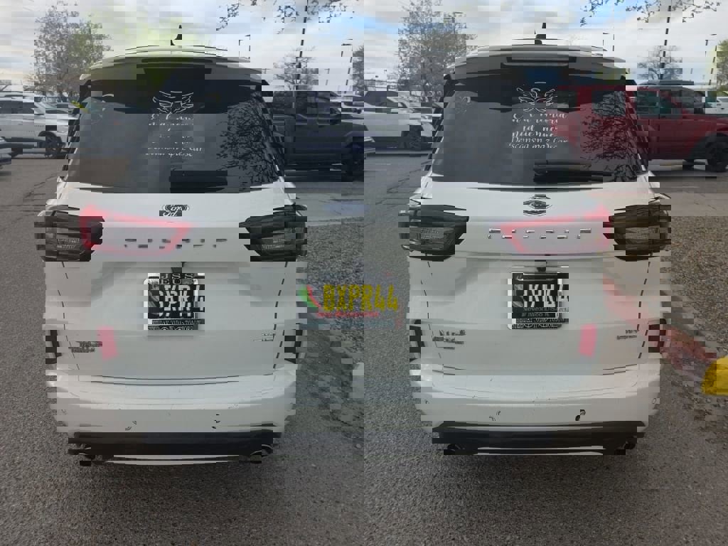 Used 2023 Ford Escape ST-Line w/ Tech Pack #1 image 5