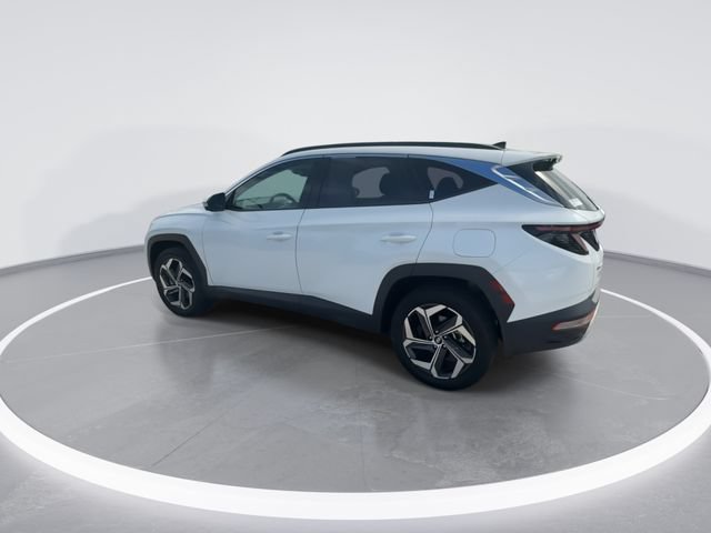 Used 2024 Hyundai Tucson Limited AWD/4WD image 6