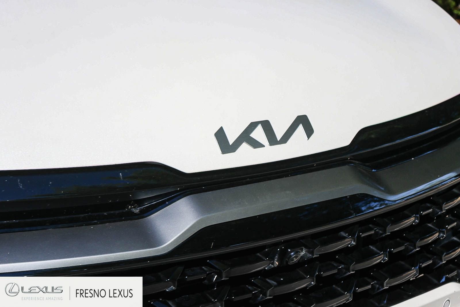 Used 2023 Kia Sportage X-Line Prestige image 11