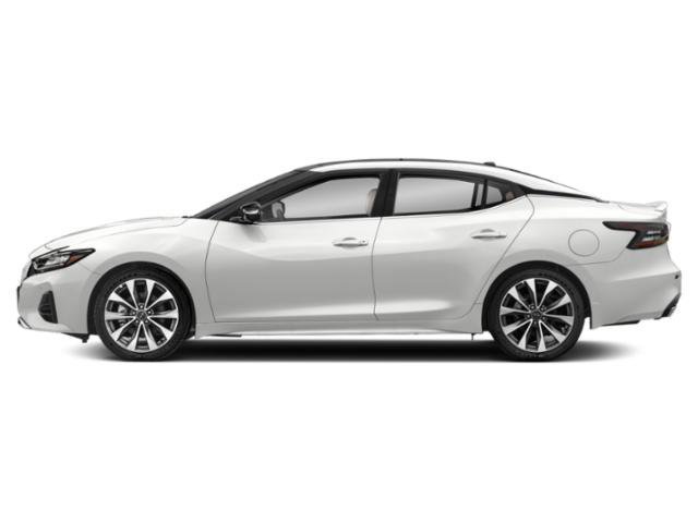 Used 2023 Nissan Maxima Platinum image 3