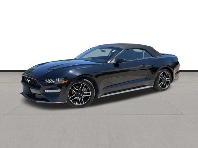Used 2019 Ford Mustang Premium