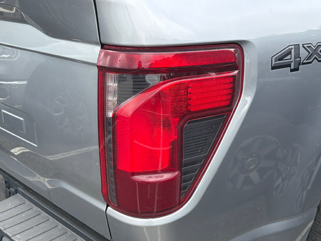 Used 2025 Ford F150 XLT w/ Equipment Group 301A Standard AWD/4WD image 13