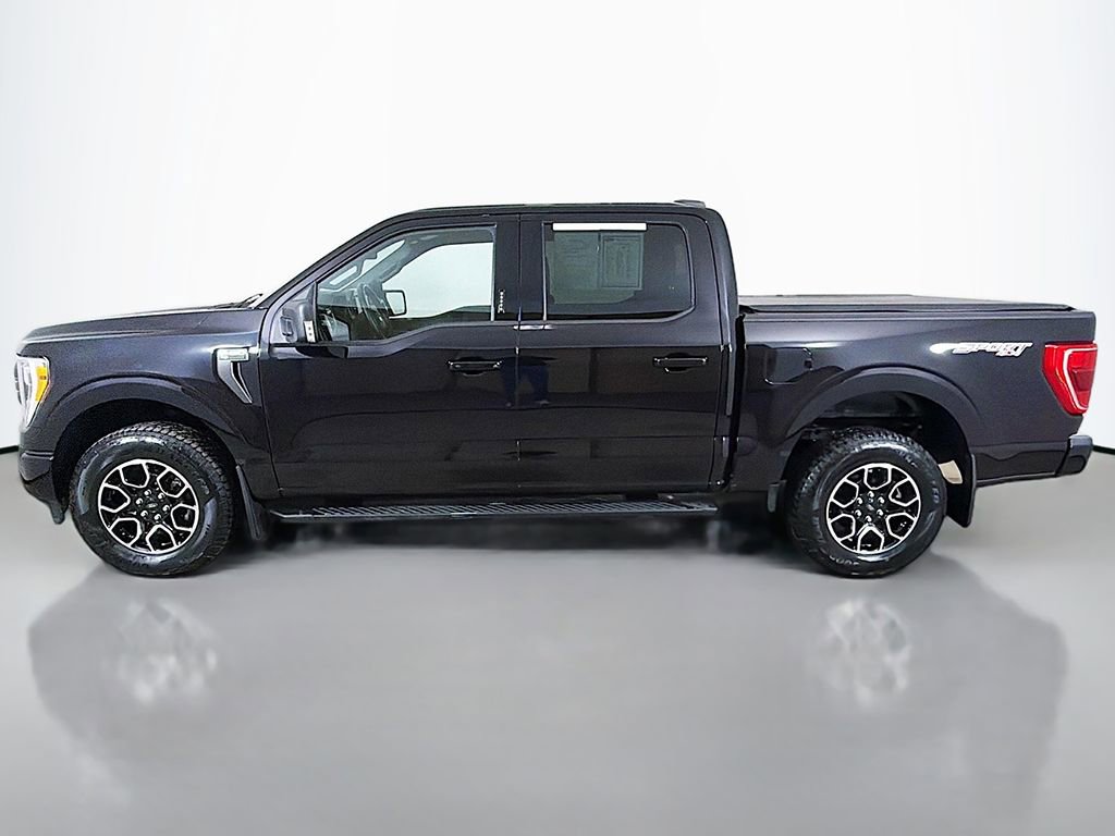 Certified 2023 Ford F150 XLT w/ Equipment Group 302A High AWD/4WD image 13