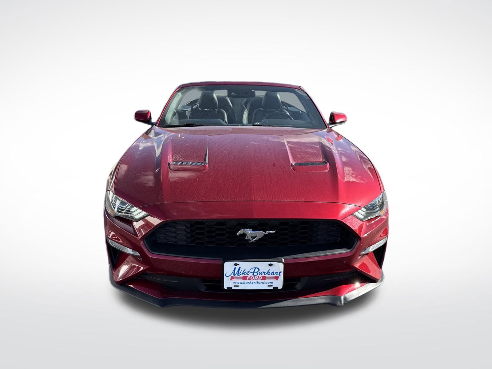 Used 2018 Ford Mustang Premium w/ Equipment Group 201A image 25