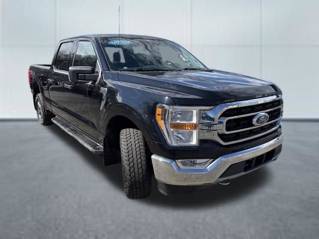 Used 2021 Ford F150 XLT w/ Equipment Group 301A Mid image 8