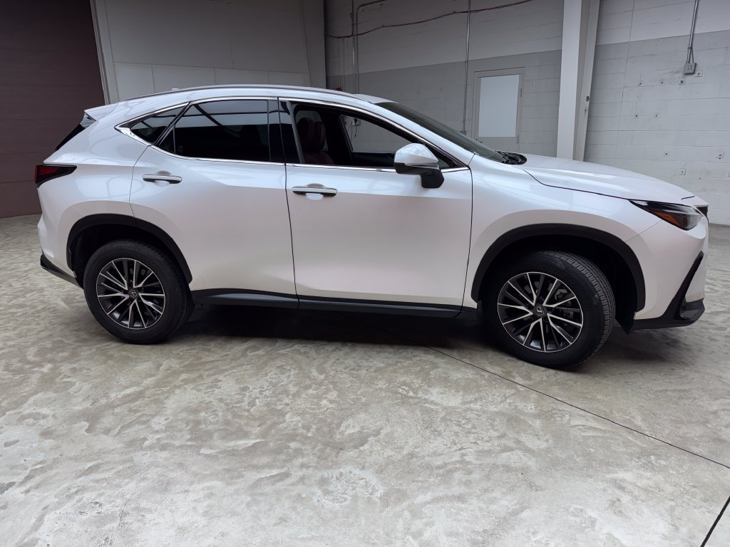 Used 2024 Lexus NX 350 AWD w/ Cold Area Package image 6