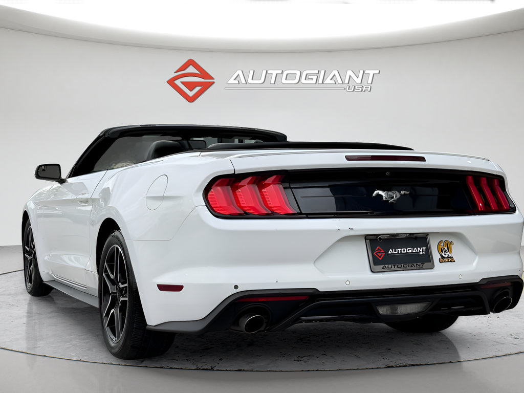 Used 2019 Ford Mustang Premium RWD image 8