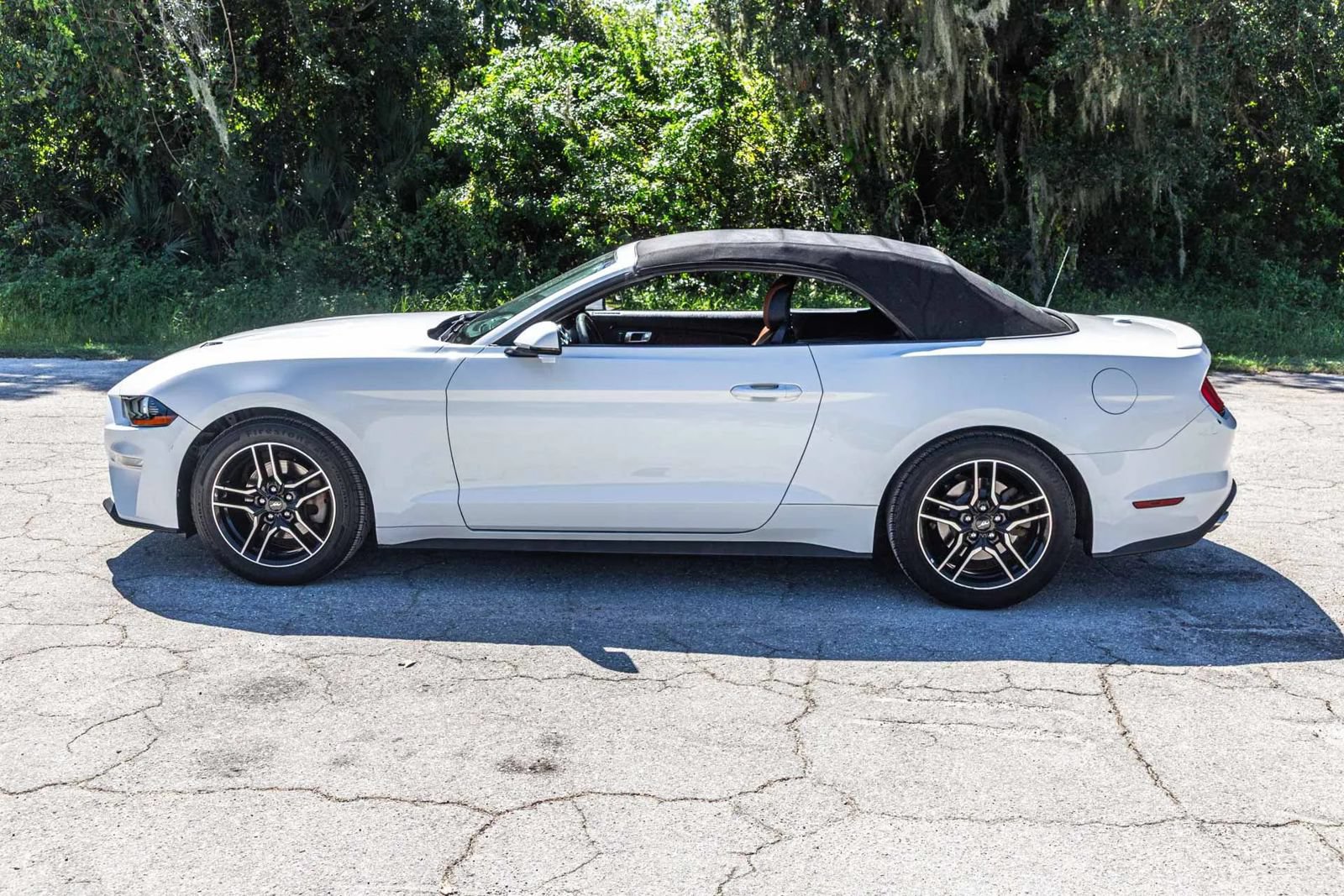 Used 2018 Ford Mustang Premium RWD image 20