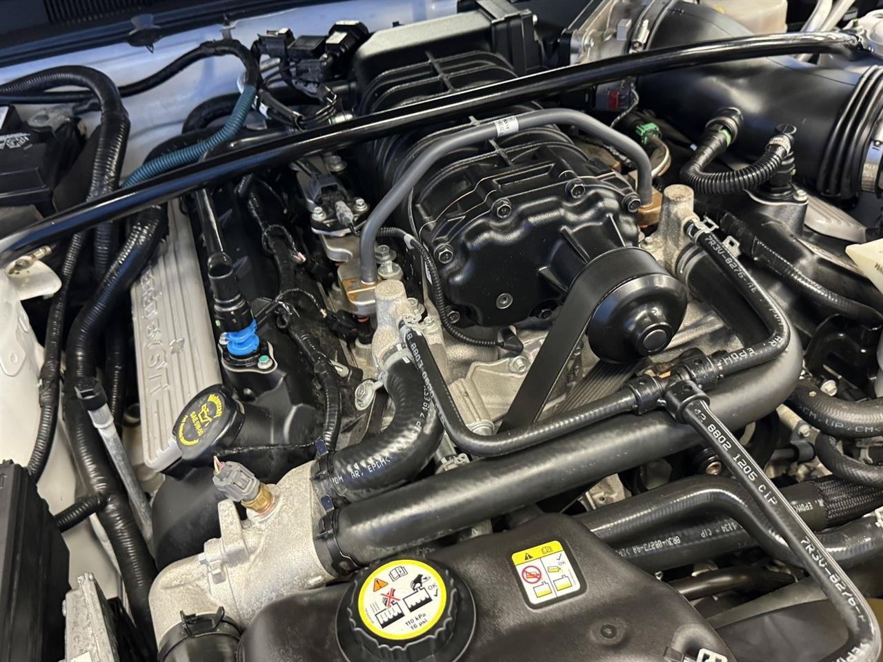 Used 2008 Ford Mustang Shelby GT500 RWD image 21
