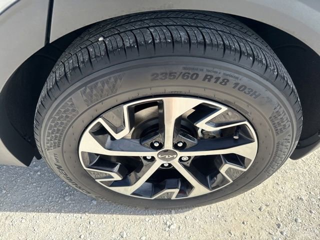 Used 2025 Kia Sportage EX image 11