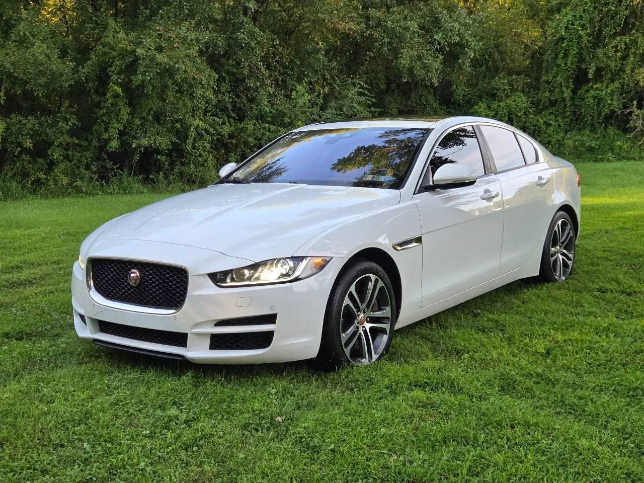 Used 2017 Jaguar XE Premium AWD/4WD image 13