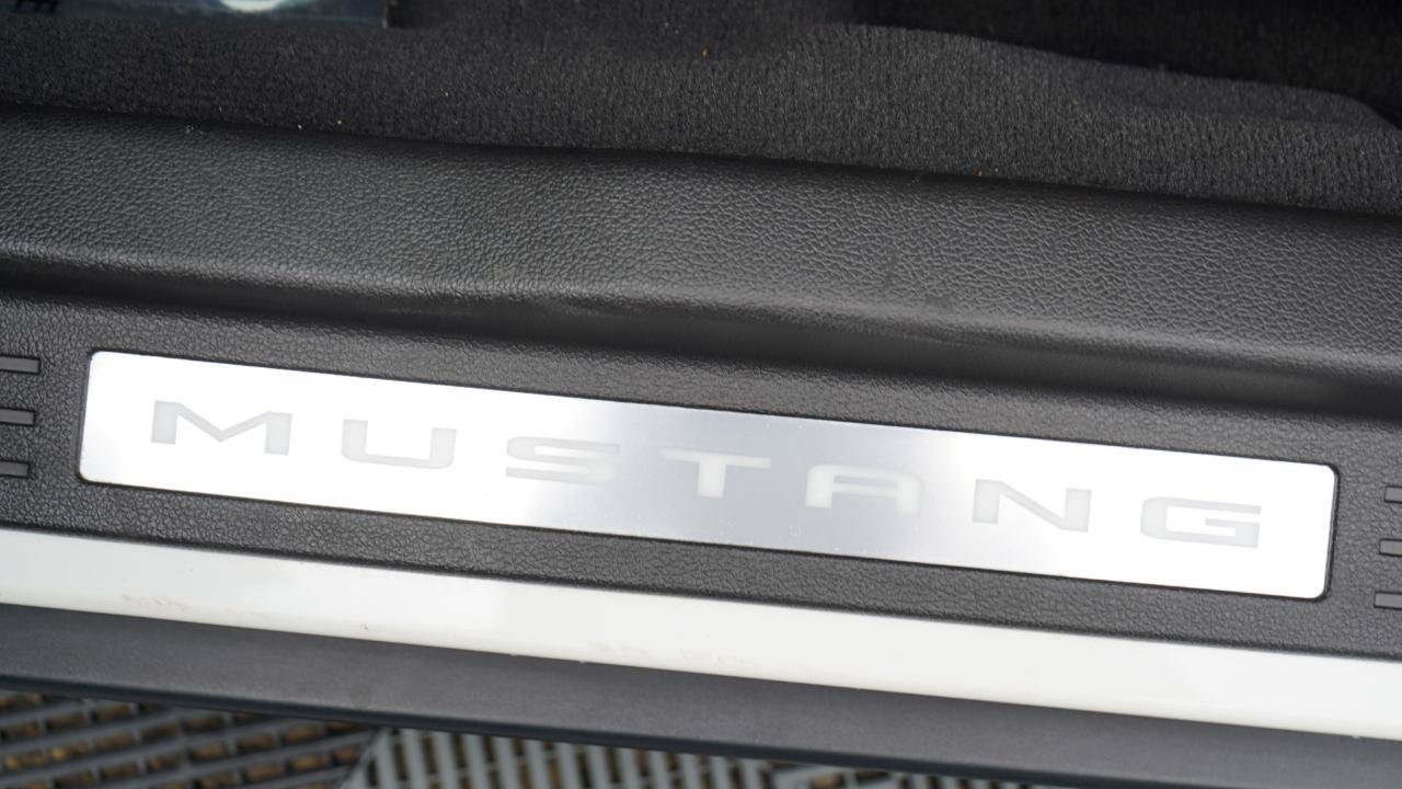 Used 2010 Ford Mustang GT RWD image 54