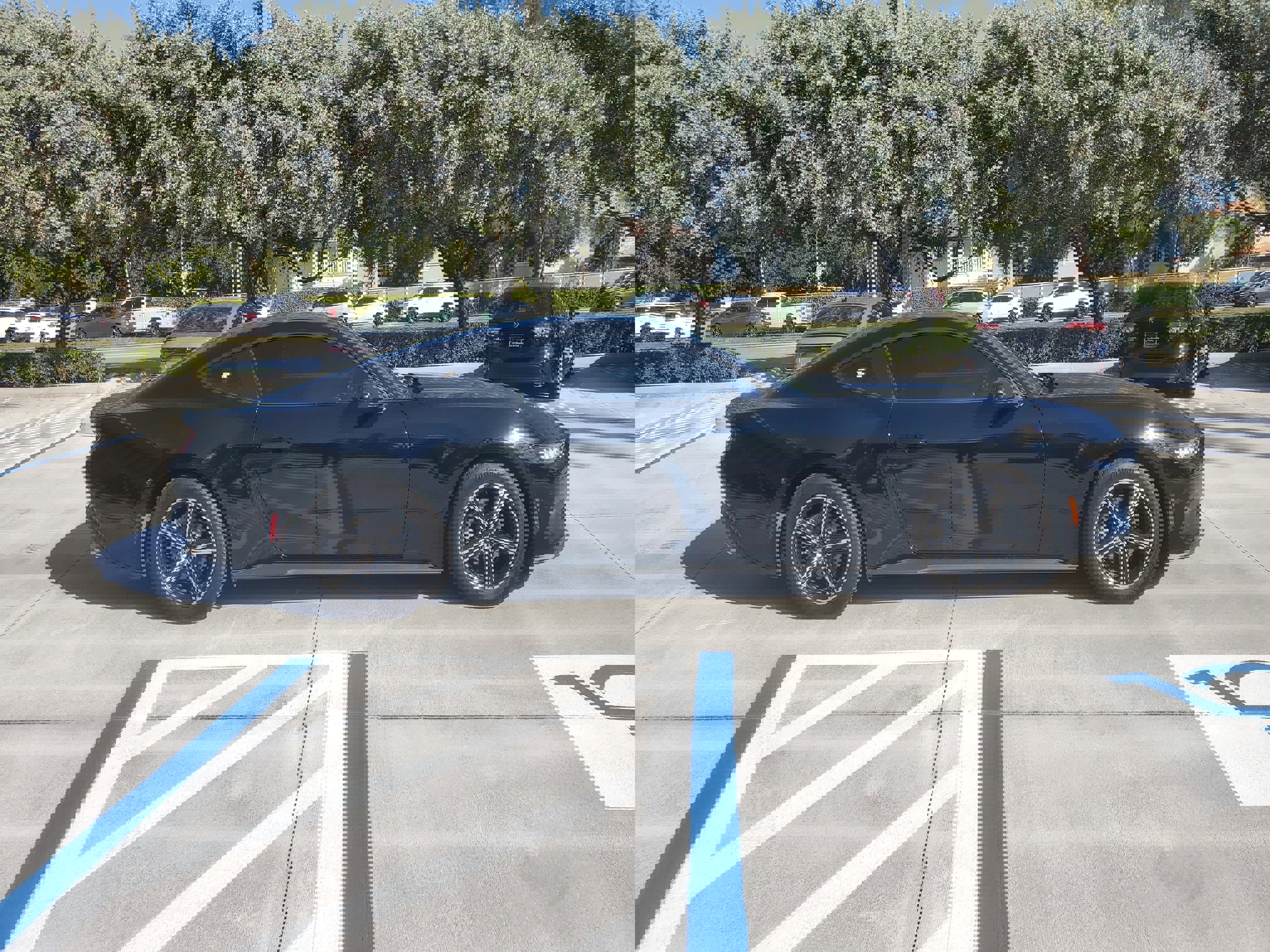 Used 2024 Ford Mustang EcoBoost image 11