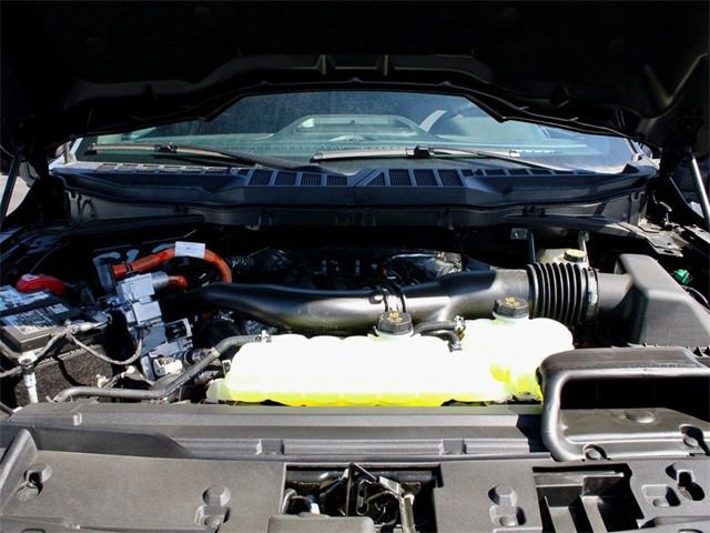 New 2025 Ford F150 XLT w/ Equipment Group 303A High image 20