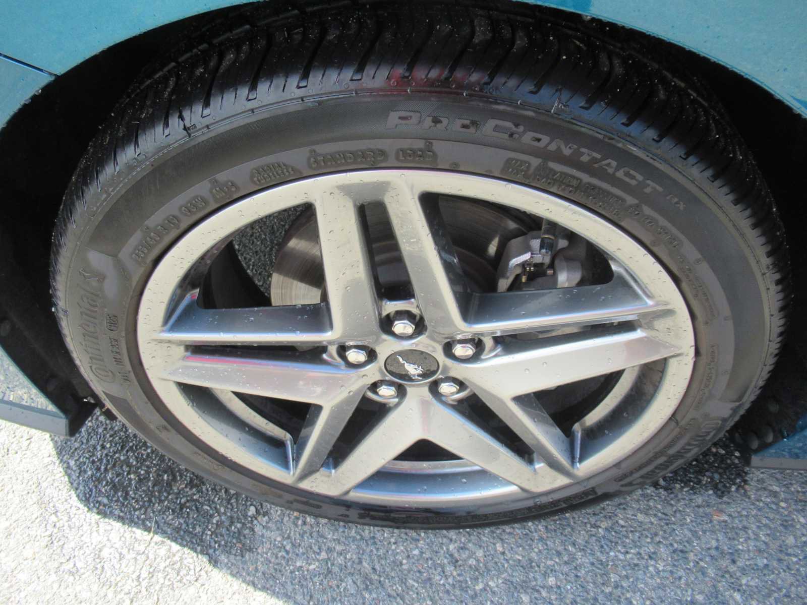 Used 2026 Ford Mustang Coupe RWD image 11