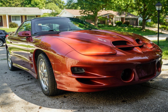 Used 2002 Pontiac Firebird Trans Am RWD image 12